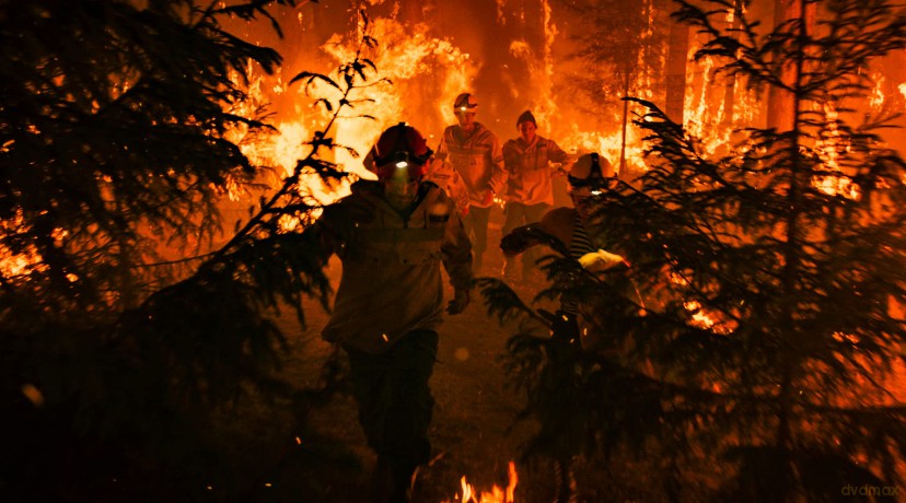 Fire [DVD]
