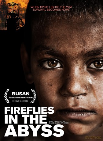 Fireflies In The Abyss [DVD]