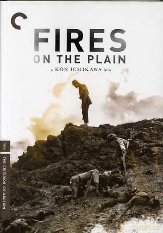 Fires On The Plain [DVD]