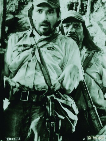 Fires On The Plain [DVD]