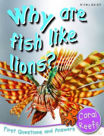 First Questions And Answers Why Are Fish Like Lions [KSIĄŻKA]
