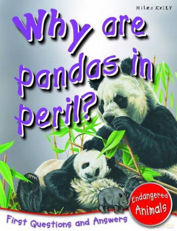 First Questions And Answers Why Are Pandas In Peril [KSIĄŻKA]