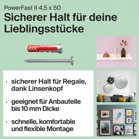 Fischer: fischer EasyDIY Deko-Box Dźbel- und Schr