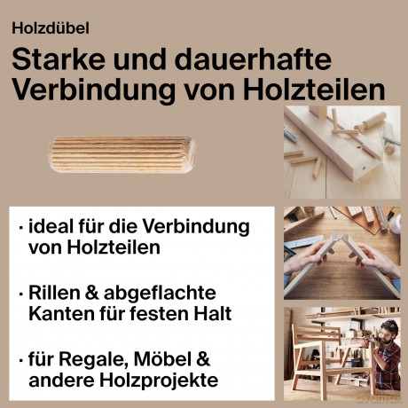 Fischer: fischer Praktische Helfer Holzdźbel-Sort