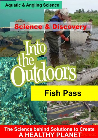Fish Pass [DVD]