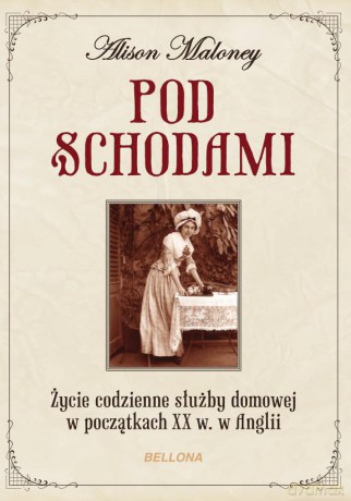 Życie pod schodami - Alison Maloney [KSIĄŻKA]