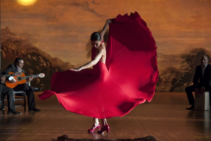 Flamenco Flamenco [DVD]