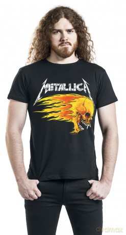 Metallica: Flaming Skull Tour '94
