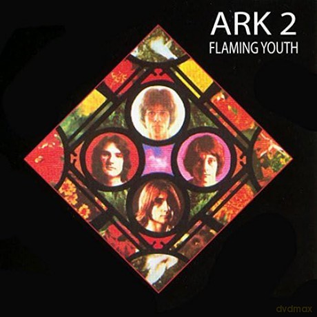 Flaming Youth-Ark 2: Flaming Youth-Ark 2 [CD]