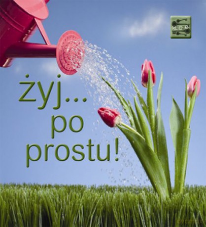 Żyj Po Prostu [KSIĄŻKA]