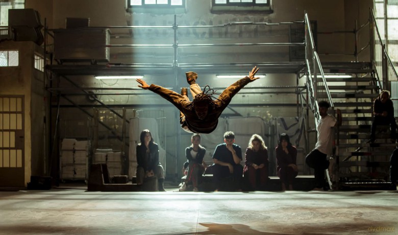 Fly [Blu-Ray]
