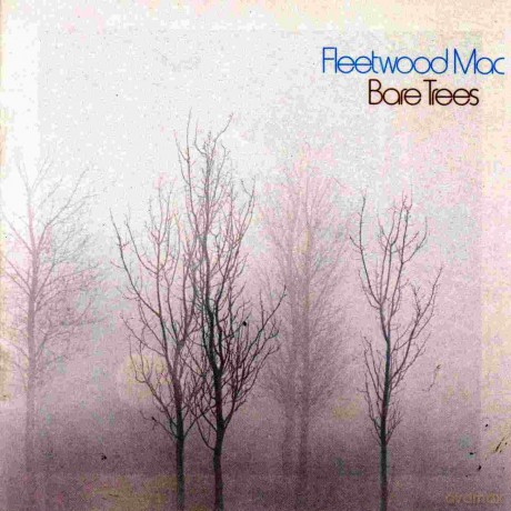 Fleetwood Mac: Bare Trees [Winyl]