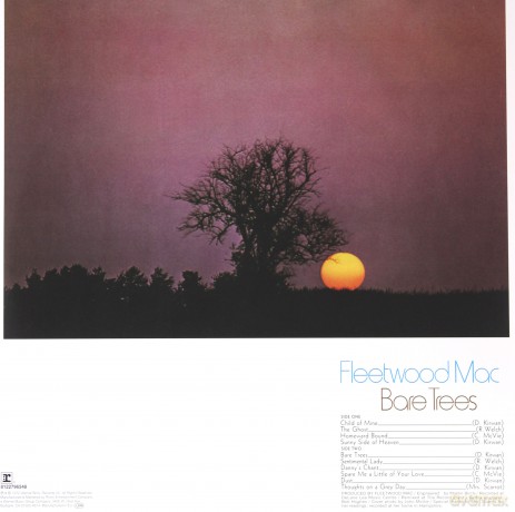 Fleetwood Mac: Bare Trees [Winyl]