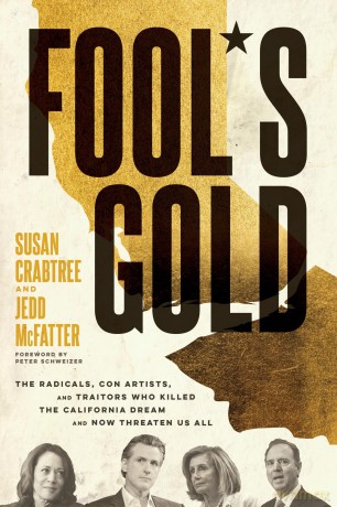 Fools Gold [KSIĄŻKA]
