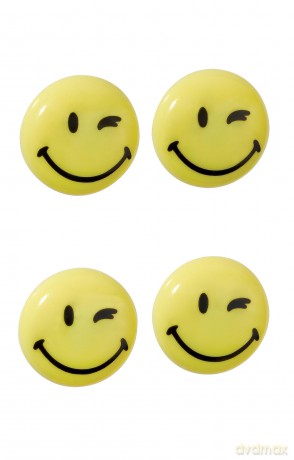 Franken: FRANKEN Happy Magnets Magnete Motiv, Kun