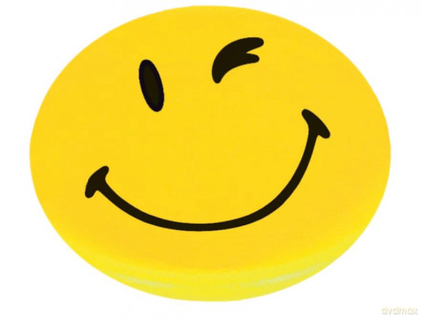 Franken: FRANKEN Happy Magnets Magnete Motiv, Kun