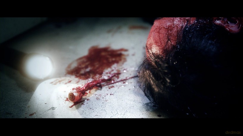Frankenstein-Experiment In Terror [DVD]