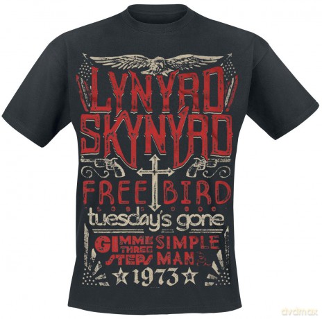 Lynyrd Skynyrd: Freebird 1973 Hits (Old)