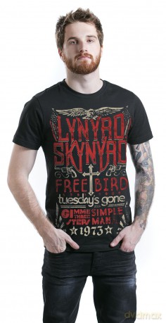 Lynyrd Skynyrd: Freebird 1973 Hits (Old)