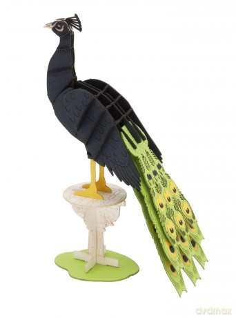 Fridolin Paper Model Peacock 2