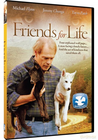 Friends For Life [DVD]