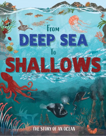 From Deep Sea to Shallows The Story of Oceans [KSIĄŻKA]