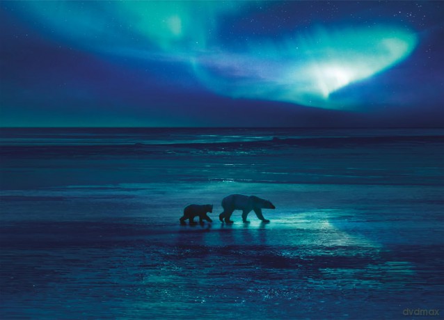 Frozen Planet-Eisige Welten 2 [2DVD]
