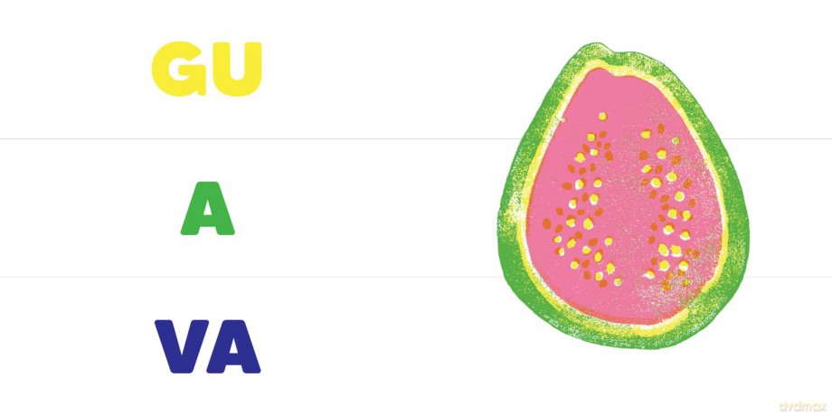 Fruit Salad [KSIĄŻKA]