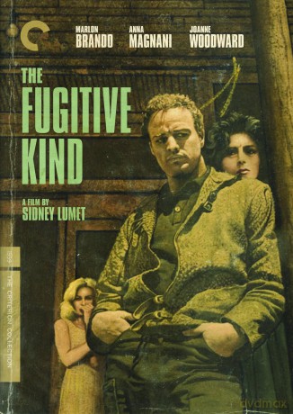 Fugitive Kind [2DVD]