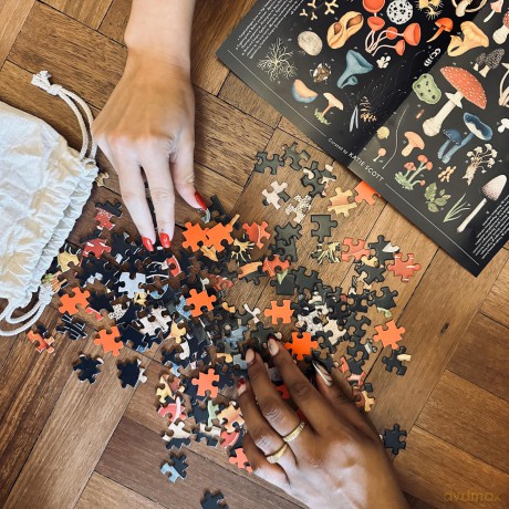 Fungarium 1000 Piece Jigsaw Puzzl [KSIĄŻKA]