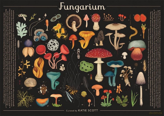 Fungarium 1000 Piece Jigsaw Puzzl [KSIĄŻKA]