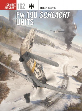 Fw 190 Schlacht Units [KSIĄŻKA]