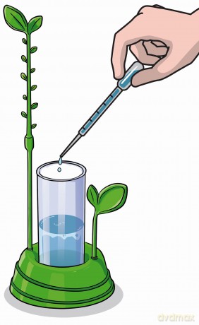 Galileo Botanik und Hydrokultur
