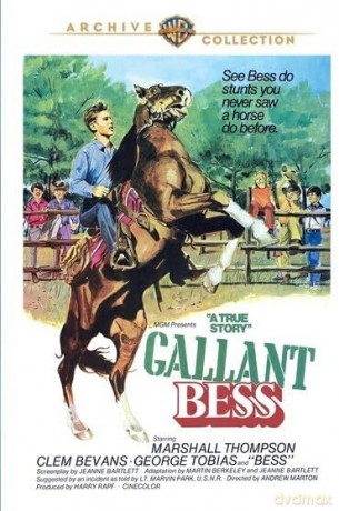 Gallant Bess [DVD]