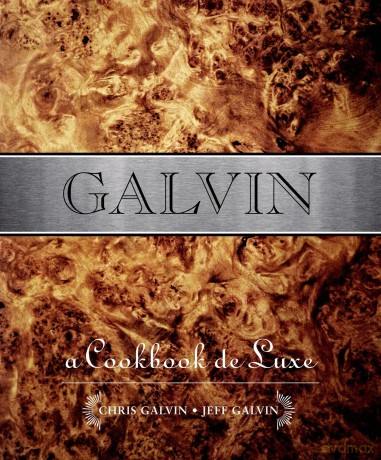 Galvin [KSIĄŻKA]