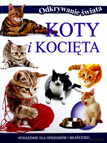 Koty i kocięta. Odkrywanie świata - praca zbiorowa [KSIĄŻKA]