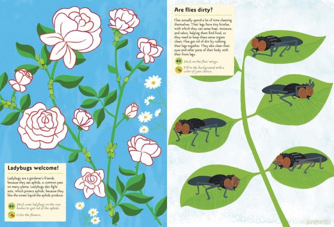 Garden Insects Bugs [KSIĄŻKA]