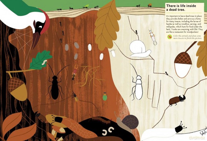 Garden Insects Bugs [KSIĄŻKA]