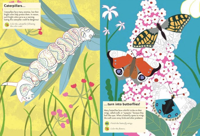 Garden Insects Bugs [KSIĄŻKA]