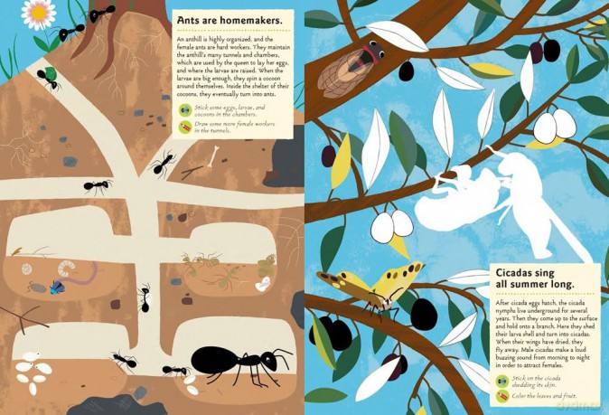 Garden Insects Bugs [KSIĄŻKA]