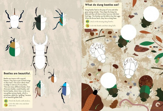 Garden Insects Bugs [KSIĄŻKA]