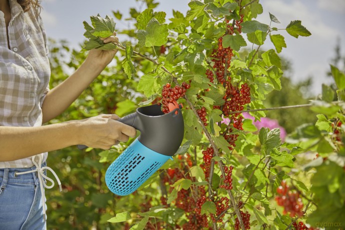 Gardena: GARDENA combisystem Beerensammler