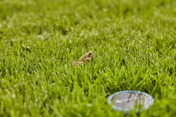 Gardena: GARDENA Verlngerungskabel 10,0 m schwar