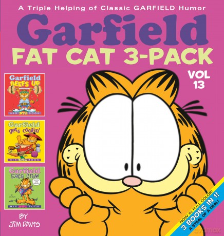 Garfield Fat Cat 3pack Volume 13 [KSIĄŻKA]