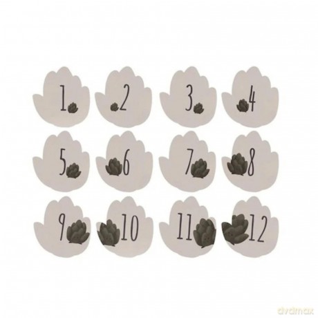 Geschenkset zur Geburt - Petit ArtichauP10SpielwarenDIVERSE530225447622.99107.05.20260571234 489181