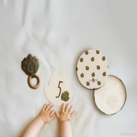 Geschenkset zur Geburt - Petit ArtichauP10SpielwarenDIVERSE530225447622.99107.05.20260571234 489181