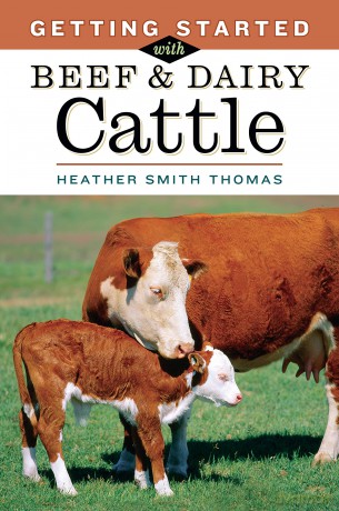 Getting Started with Beef Dairy Cattle [KSIĄŻKA]