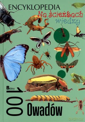 Na ścieżkach wiedzy. Encyklopedia. 100 Owadów - Krzysztof Jędrzejewski [KSIĄŻKA]