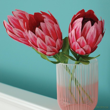 Gift Box Paper Flower Kit [KSIĄŻKA]