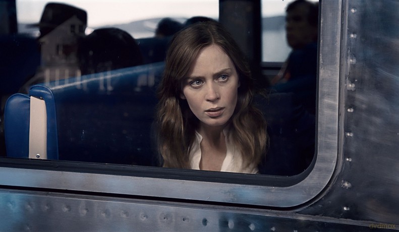 Girl On The Train [DVD]